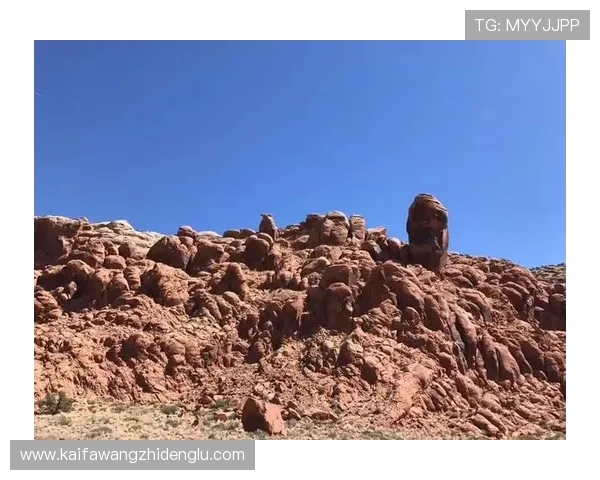 凯发电游官网下载最新版本:及时获取最新软件确保游戏顺畅运行 凯发电游官网下载最新版本:及时获取最新软件确保游戏顺畅运行