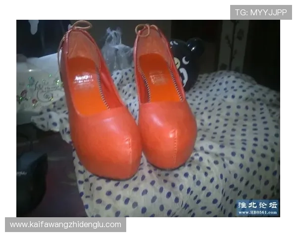 凯发官网址官方入口地址选择指南帮助新手快速上手